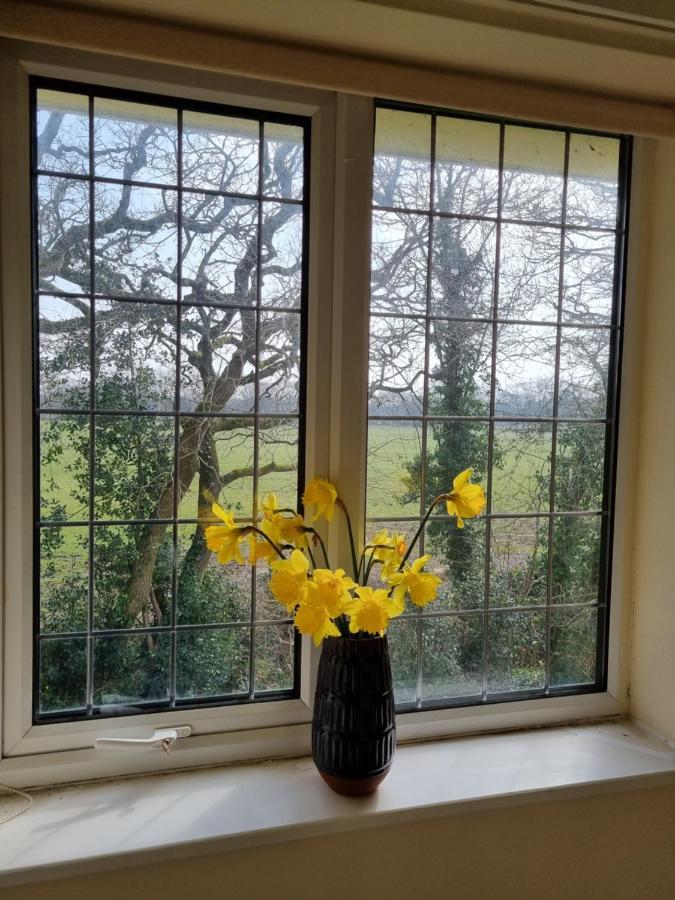 Lovely 2-Bedroom New Forest Apartment On A Farm New Milton Zewnętrze zdjęcie